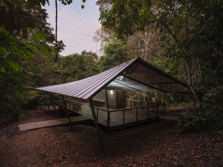 Shelter in the rainforest - 