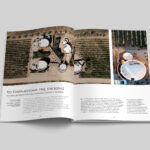 02.FOREIGN-AFFAIRS_Zehuary