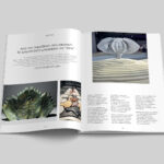 15.CURRENT TRENDS_Marbles n Stones