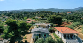 Olive House - Studio Syn_ - ekmagazine