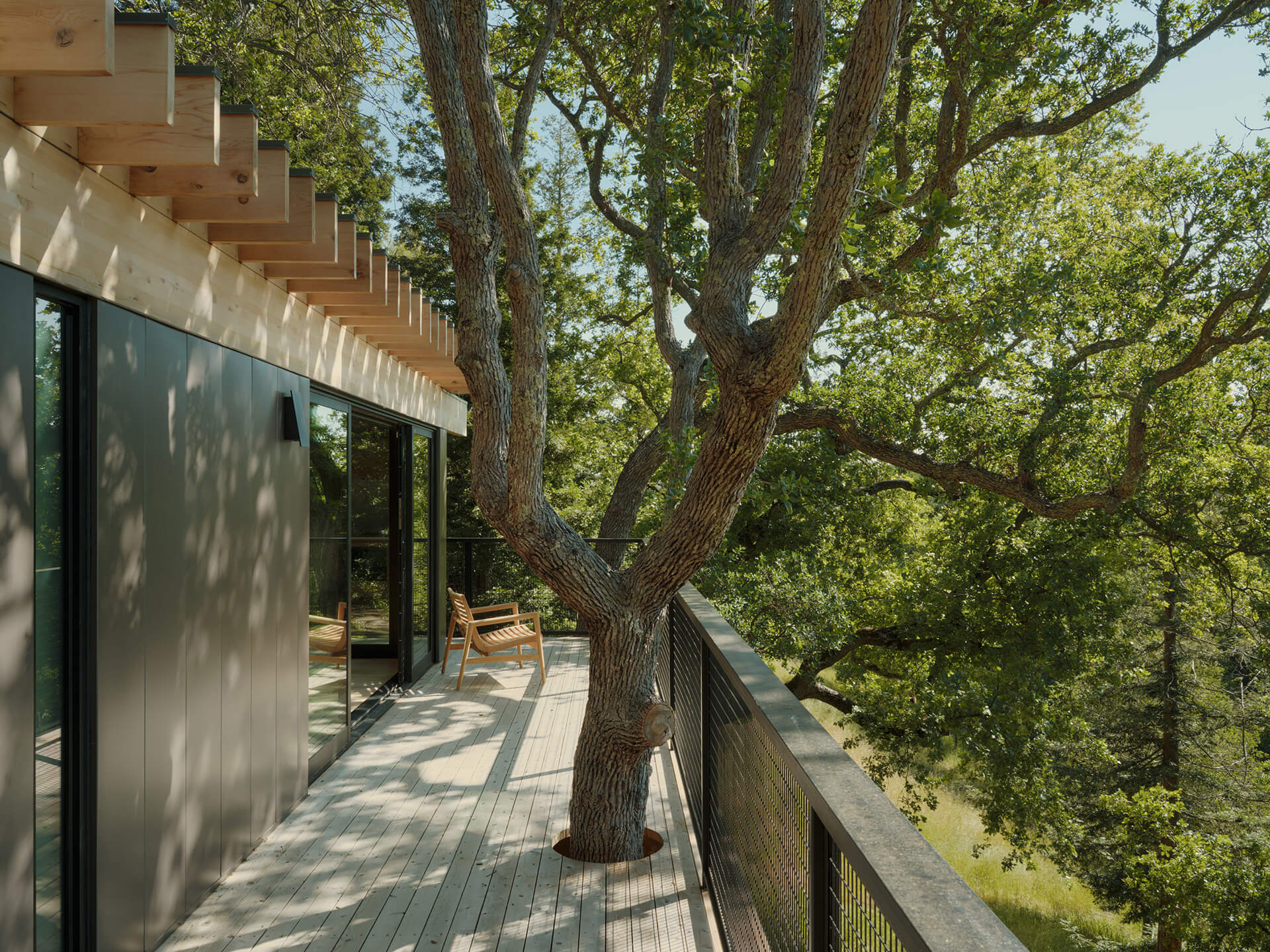 Pavilion in the Oaks - Mork-Ulnes Architects - ekmagazine