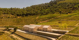 Wine Cellar of the Quinta de Adorigo-Atelier Sérgio Rebelo-ekmagazine