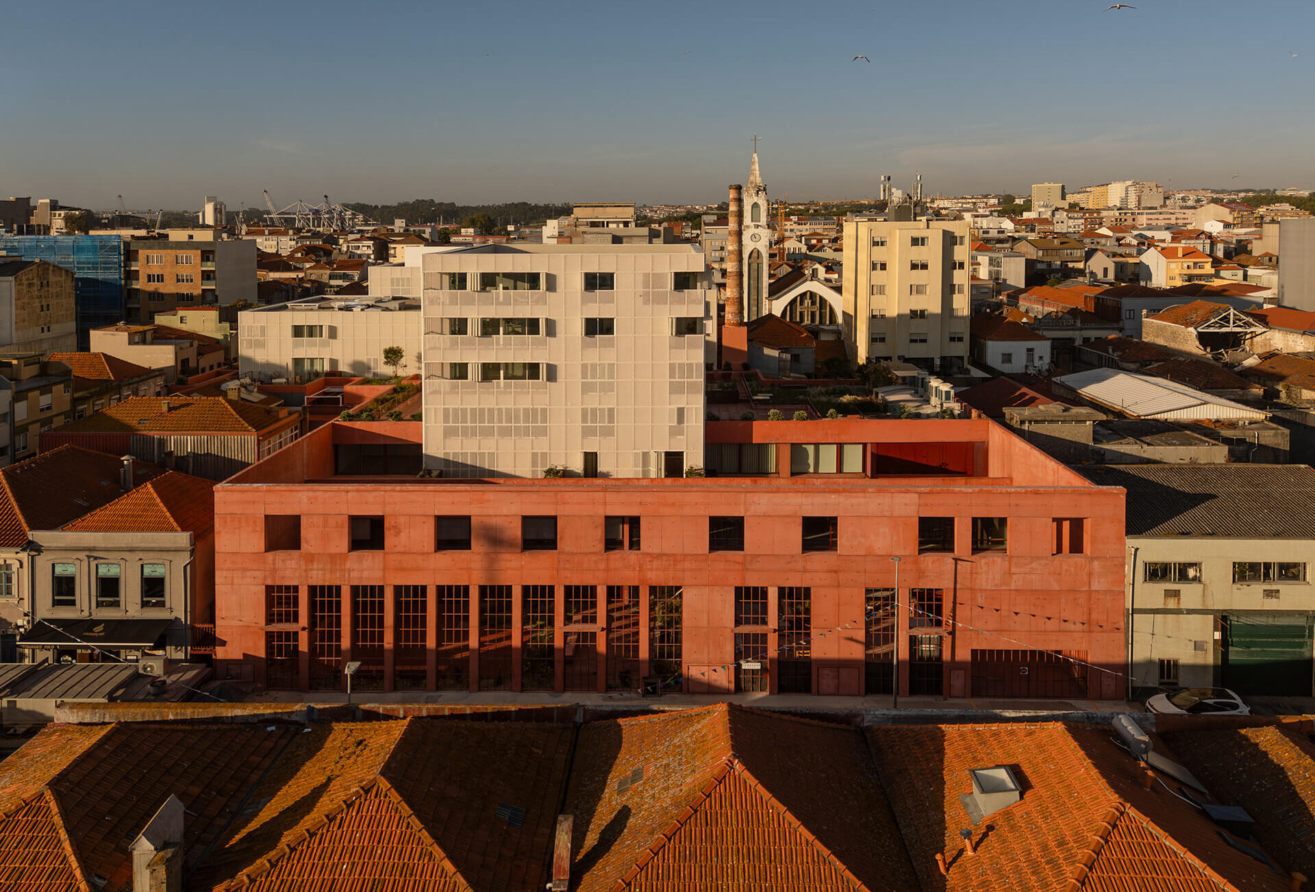 -Canning Factory - OODA - ek magazine