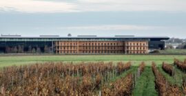 Hennessy Village timber building beyond the vineyards near Cognac
