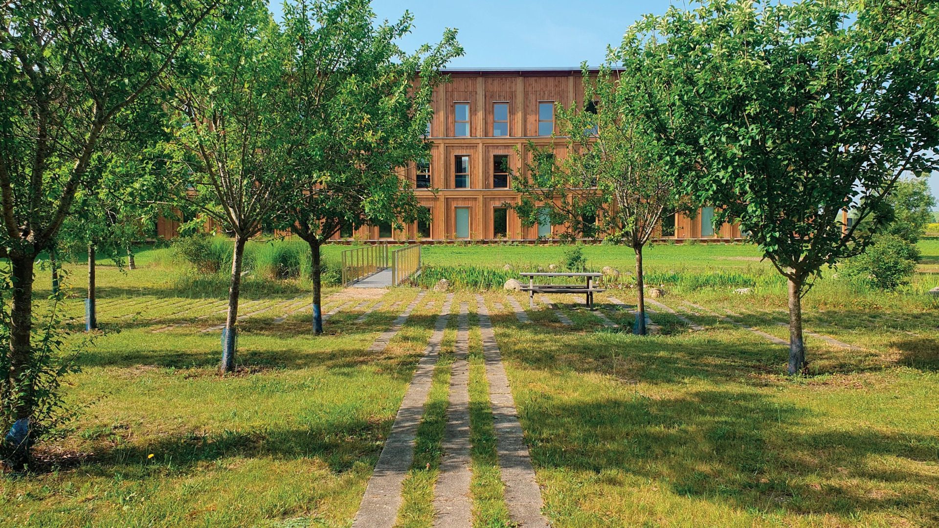 Το Hennessy Village πίσω από φυτεμένο οπωρώνα